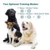 Rechargeable Color Screen Dog Training Device Bark Collar for Dogs